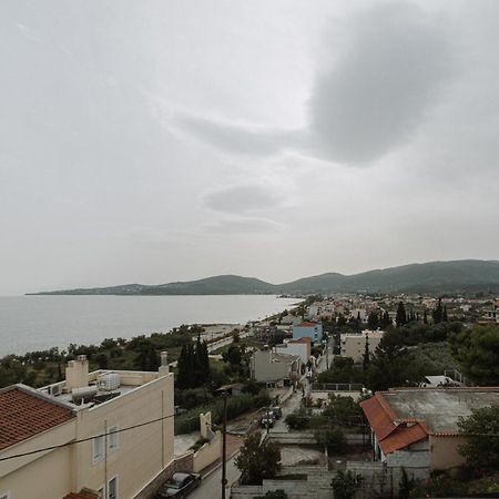 Niki House Apartment โวโลส ภายนอก รูปภาพ