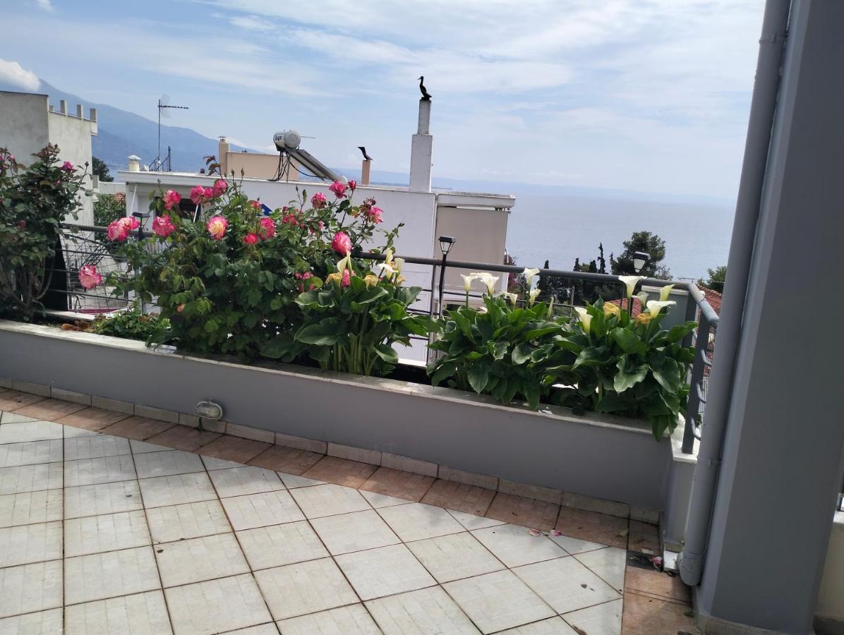 Niki House Apartment โวโลส ภายนอก รูปภาพ