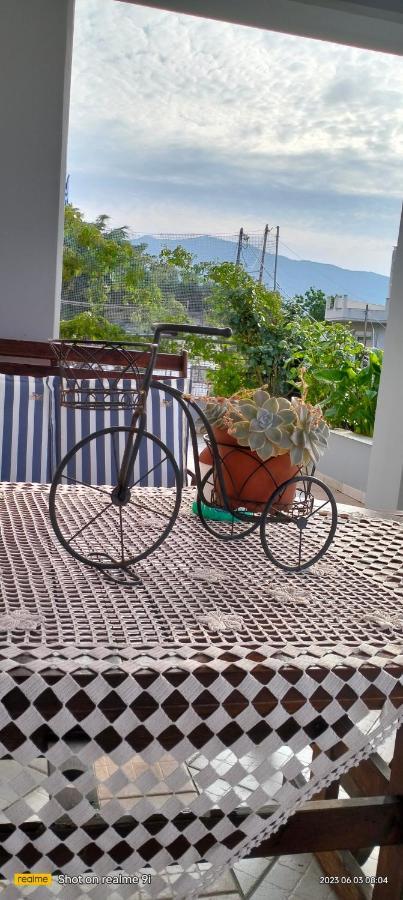 Niki House Apartment โวโลส ภายนอก รูปภาพ