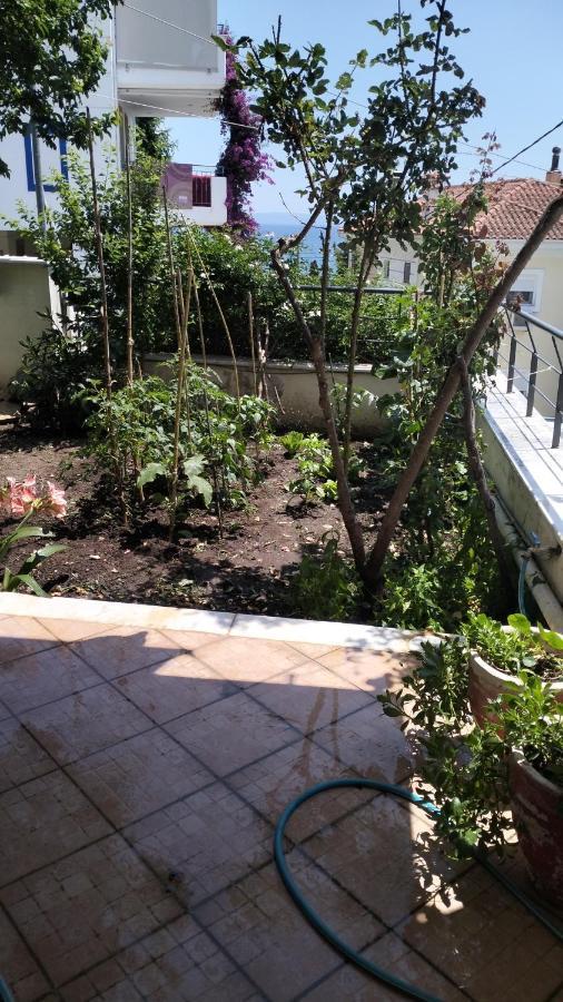 Niki House Apartment โวโลส ภายนอก รูปภาพ