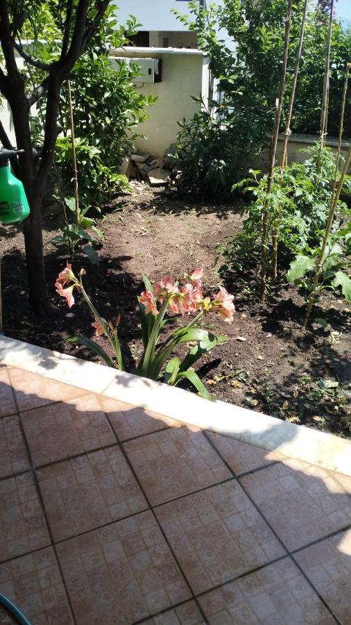 Niki House Apartment โวโลส ภายนอก รูปภาพ